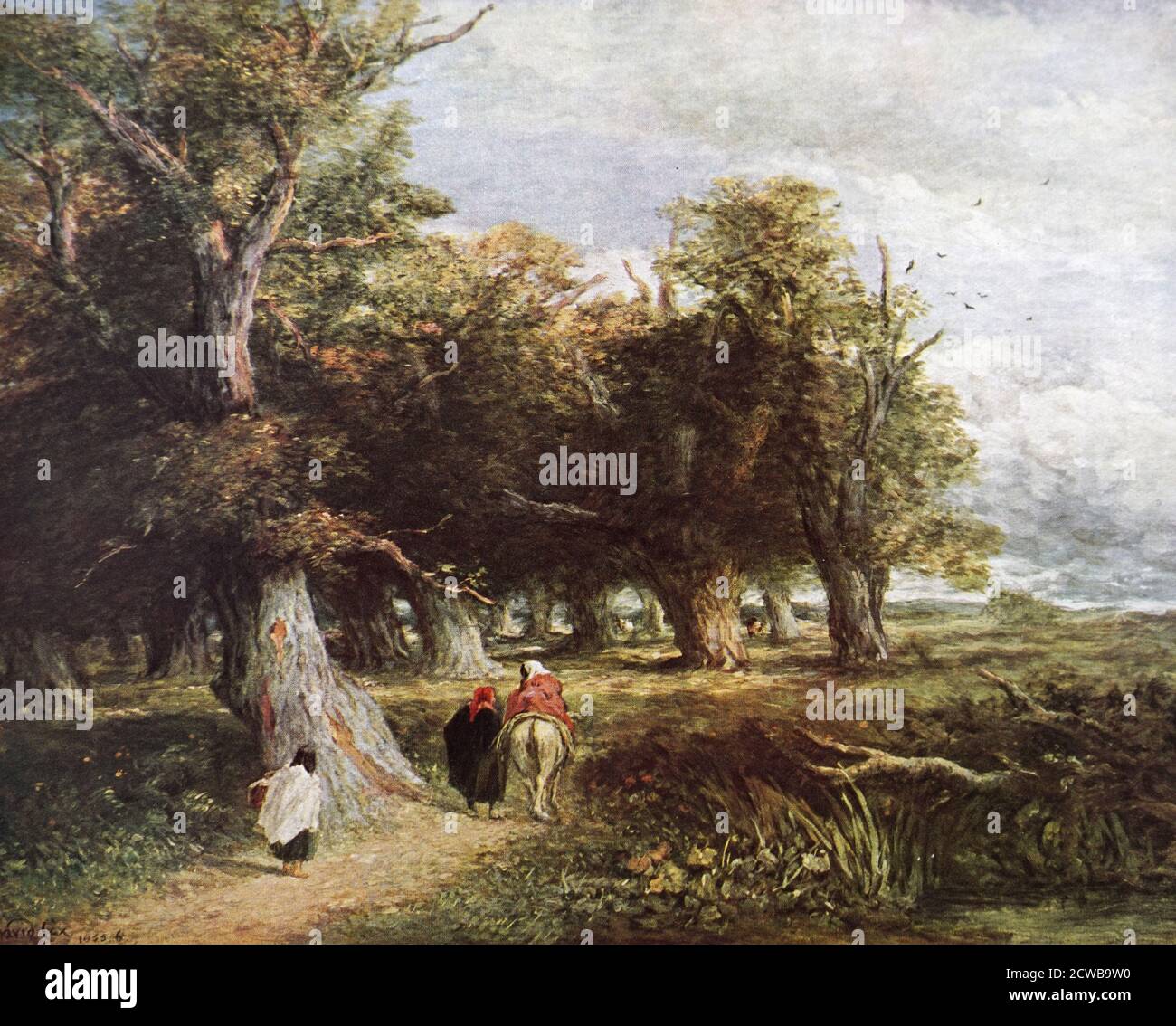 Tableau intitulé « les jupes de la forêt » par David Cox. David Cox (1783-1859) un peintre de paysage anglais. Banque D'Images