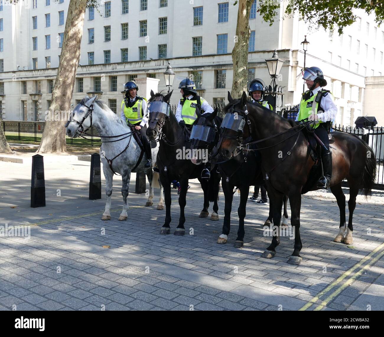 Monté la police à Whitehall, Londres, lors de la grève climatique du 20 septembre 2019. Également connue sous le nom de semaine mondiale pour l'avenir, une série de grèves et de manifestations internationales pour exiger des mesures pour lutter contre le changement climatique. Les manifestations du 20 septembre ont probablement été les plus importantes grèves climatiques de l'histoire mondiale. Les organisateurs ont indiqué que plus de 4 millions de personnes ont participé à des grèves dans le monde entier, dont 300000 000 personnes ont participé à des manifestations au Royaume-Uni Banque D'Images