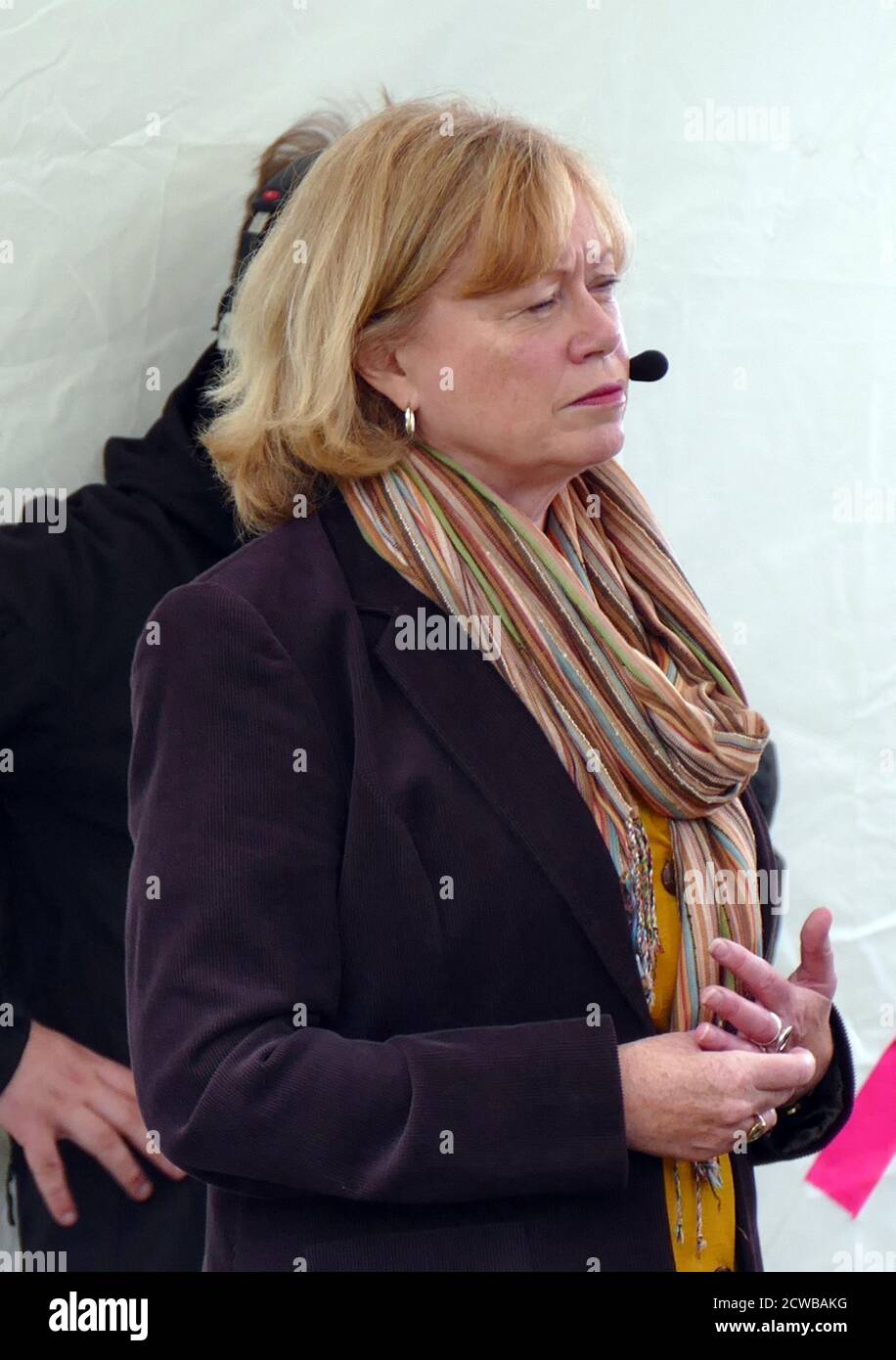 Angela Evans Smith, Baronne Smith de Basildon, PC (née en 1959). Politicien de coopérative de travail anglais qui a été député de Basildon de 1997 jusqu'à ce qu'il perde son siège aux Conservateurs à l'élection générale de 2010. M. Smith a été ministre d'État au Cabinet, y compris les bureaux du ministre du troisième secteur et du ministre de l'exclusion sociale. Elle a été créée à vie en 2010 et est devenue chef de l'opposition à la Chambre des lords en mai 2015. Banque D'Images