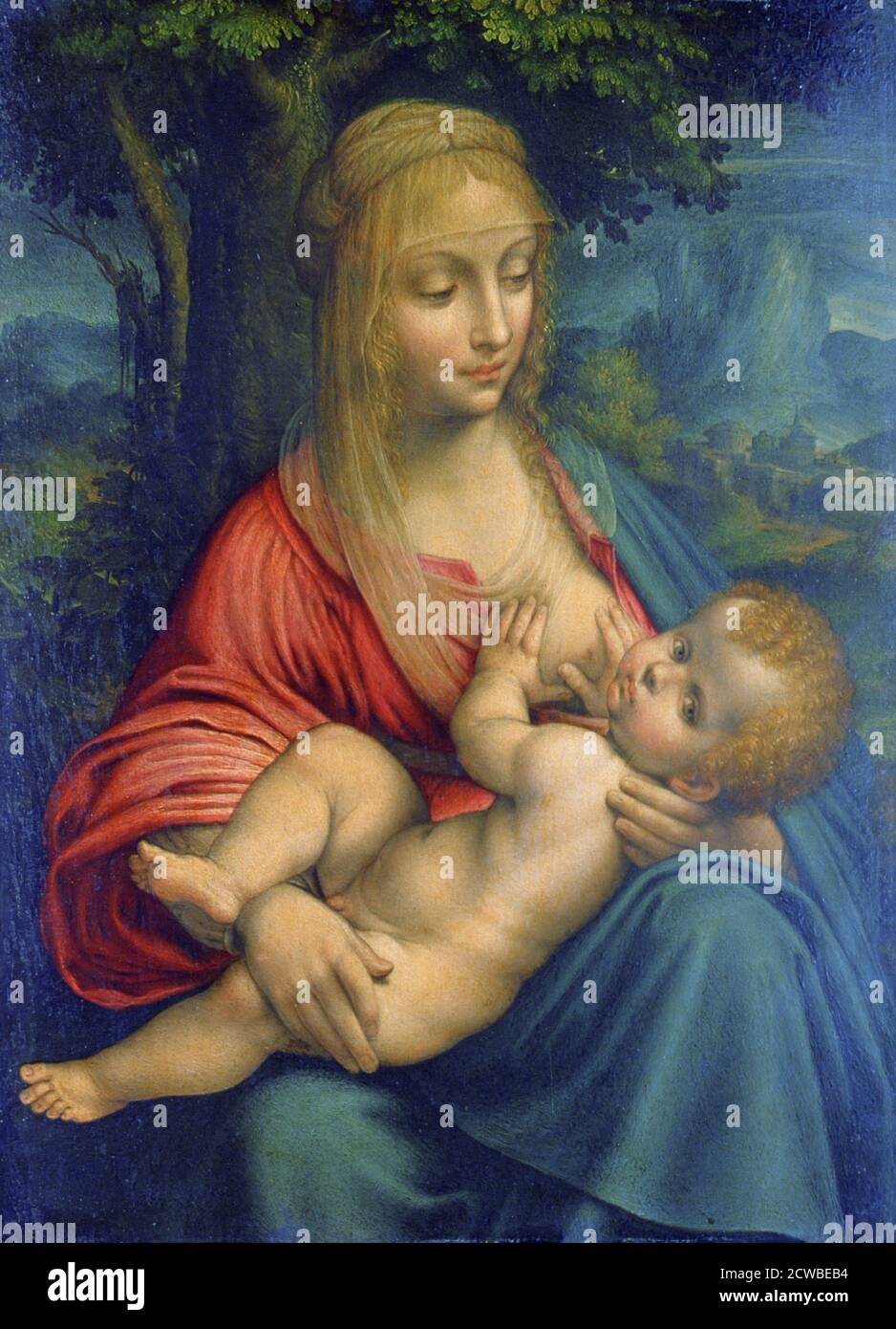 La Vierge et l'enfant', c1511 artiste: Leonardo da Vinci. Le design est basé sur deux tableaux de Léonard de Vinci, la 'Litta Madonna' et la 'Madonna du fil-Winder' Banque D'Images