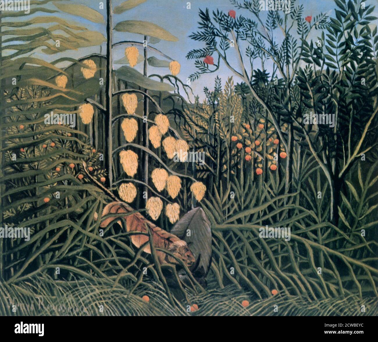Forêt tropicale : lutte contre le tigre et le buffle, 1908. Artiste: Henri Rousseau. Henri Rousseau était un peintre post-impressionniste français. Ridiculisé au cours de sa vie par les critiques, il est venu pour être reconnu comme un génie autodidacte dont les œuvres sont de haute qualité artistique. Banque D'Images