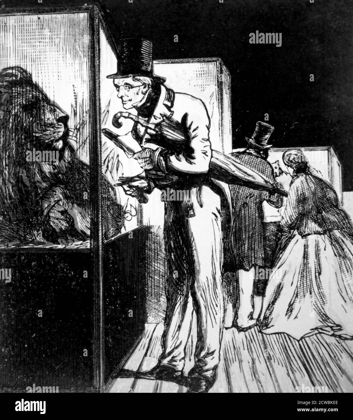 Gravure représentant les visiteurs d'un musée d'Histoire naturelle qui examine les expositions. Banque D'Images