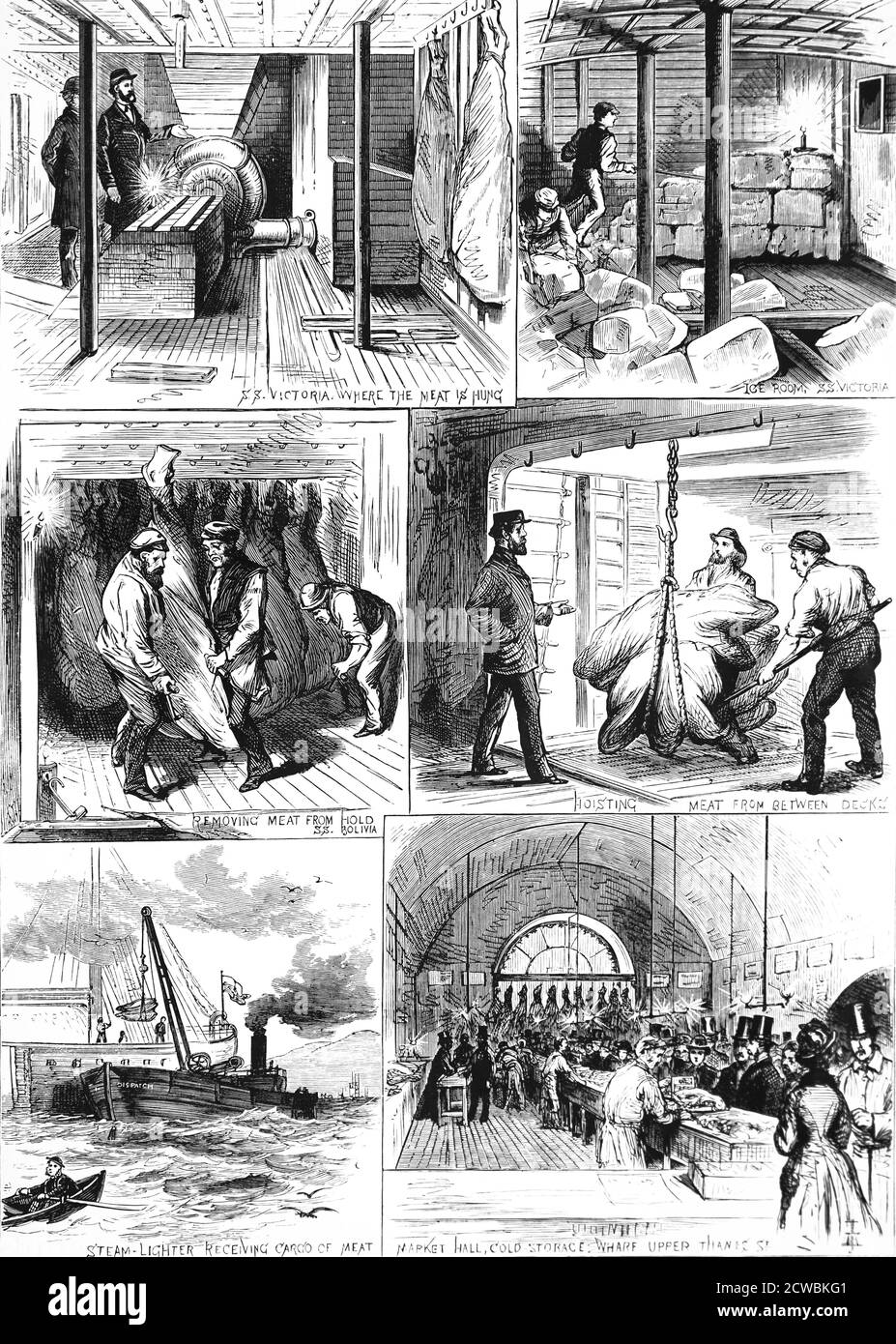 Gravure représentant le vaisseau Anchor Line sautant de la viande fraîche des États-Unis à Glasgow. En bas à droite, montre la viande vendue à Londres. Banque D'Images