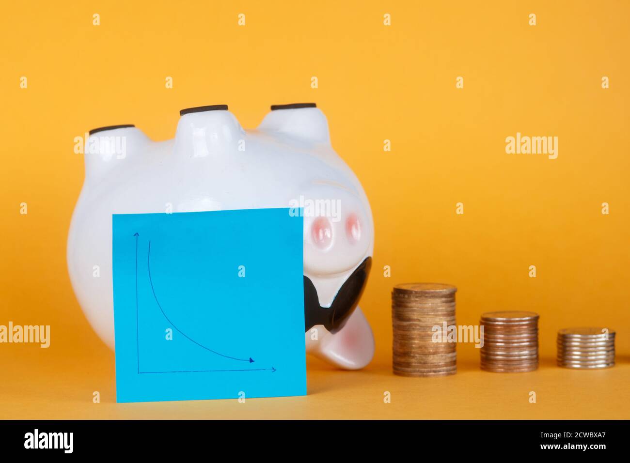 panne du système financier et perte d'épargne. Banque de pigeons et pièces Banque D'Images