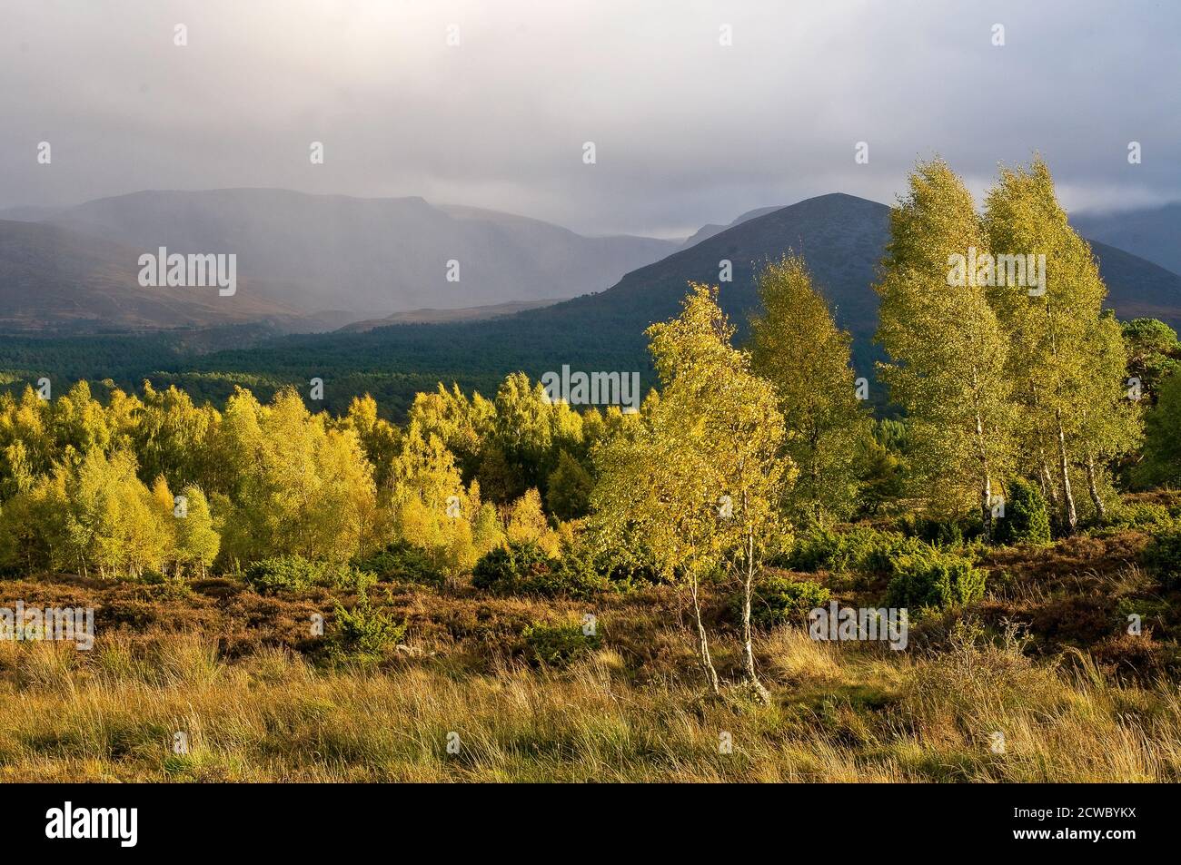 Des averses de pluie d'automne traversent le Lairig Gru dans le parc national de Cairngorms Aviemore en Écosse. Banque D'Images