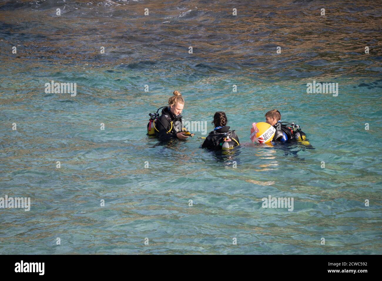 Plongée sous-marine à Cala de San Vicente Photo Stock - Alamy