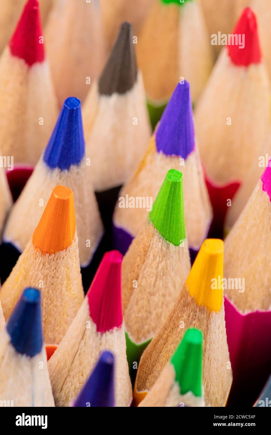 Gros plan de magnifiques crayons de couleur Banque D'Images