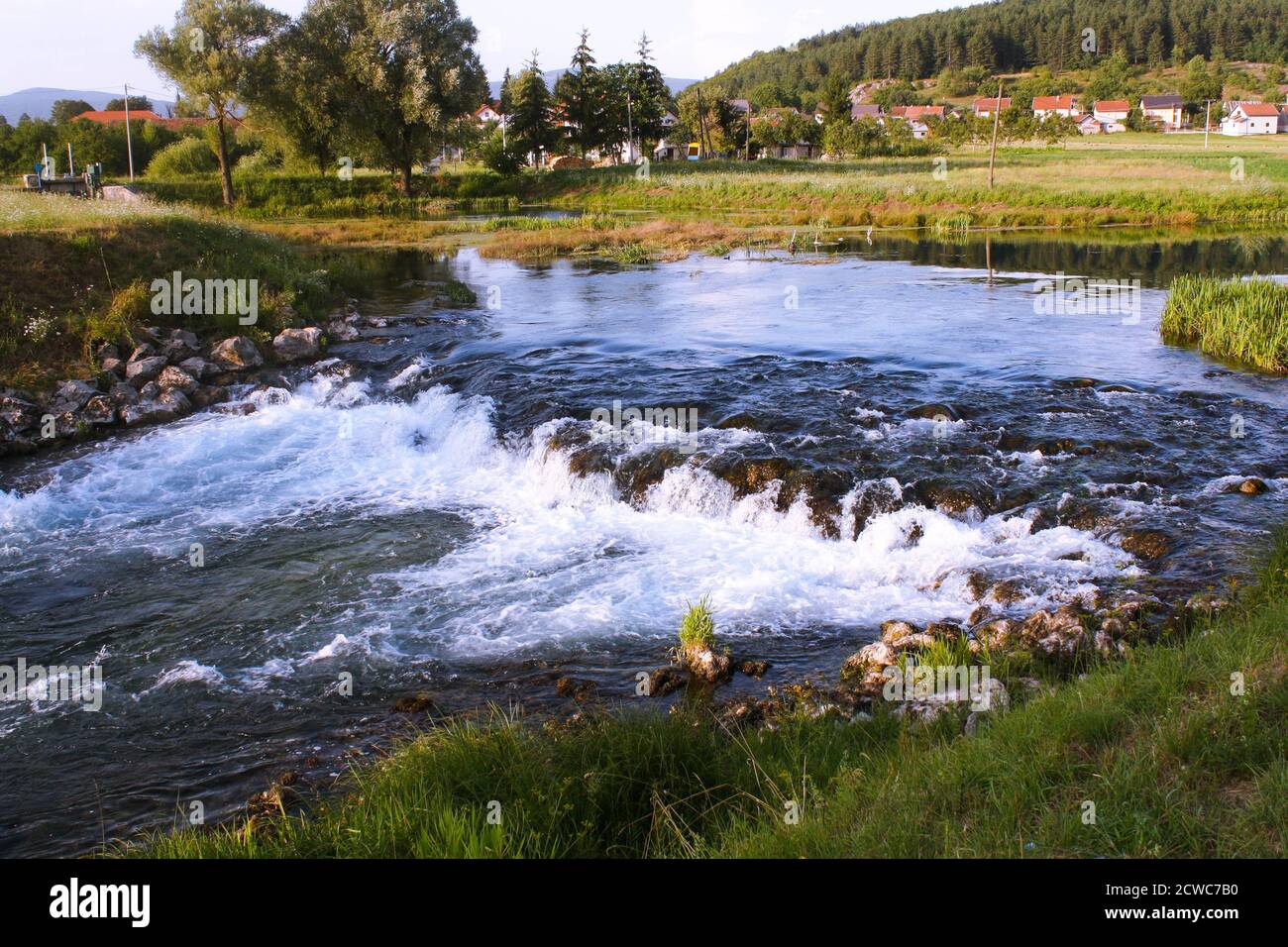 Belle rivière Gacka coulant entre arbres et champs, vue d'été, la région de Lika de Croatie Banque D'Images
