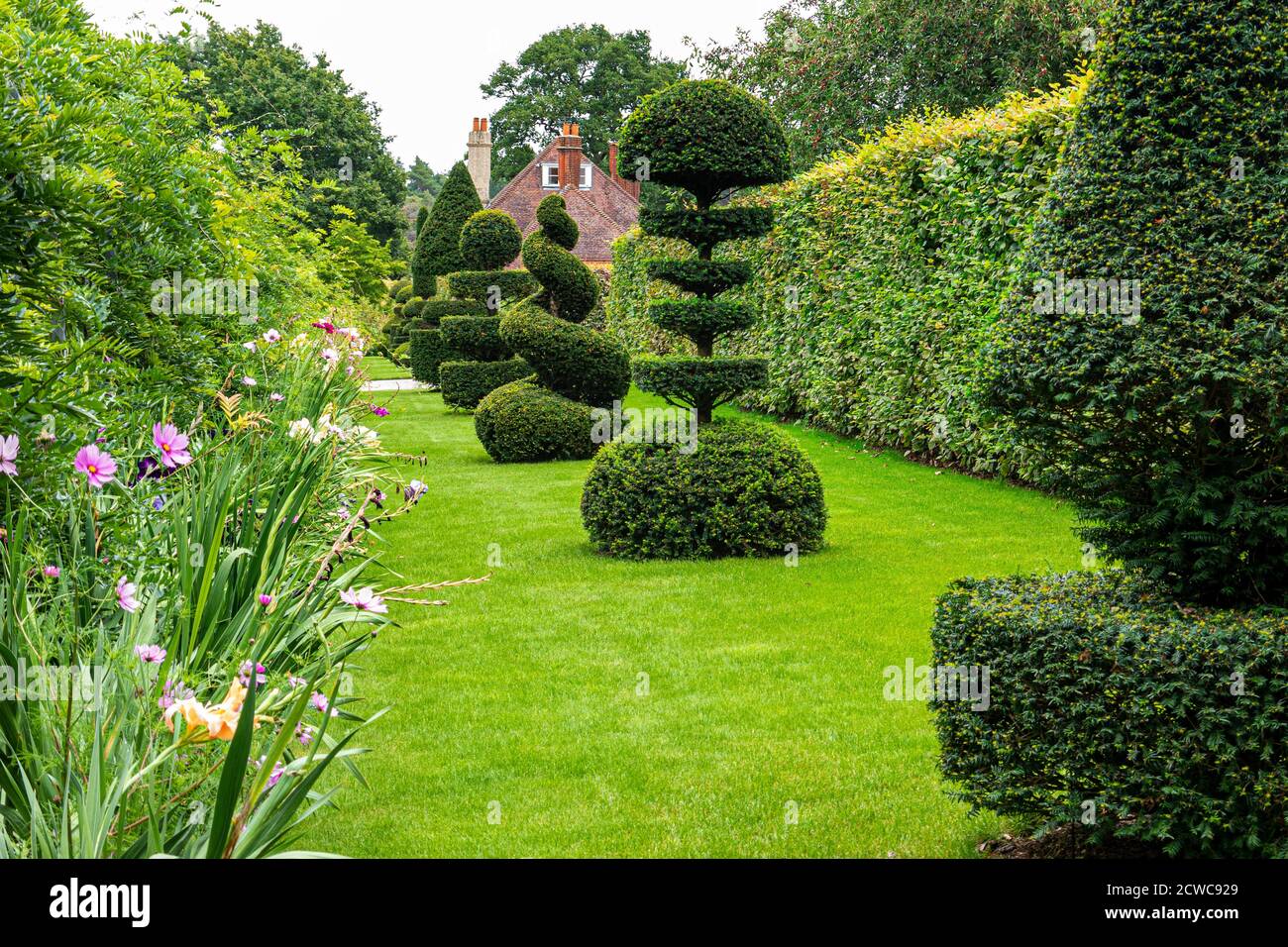 Avenue Topiary Common Yew (taxus baccata) l'architecture vivante dans un jardin formel. Arbustes et arbres permanents en formes et formes complexes ou stylisées Banque D'Images