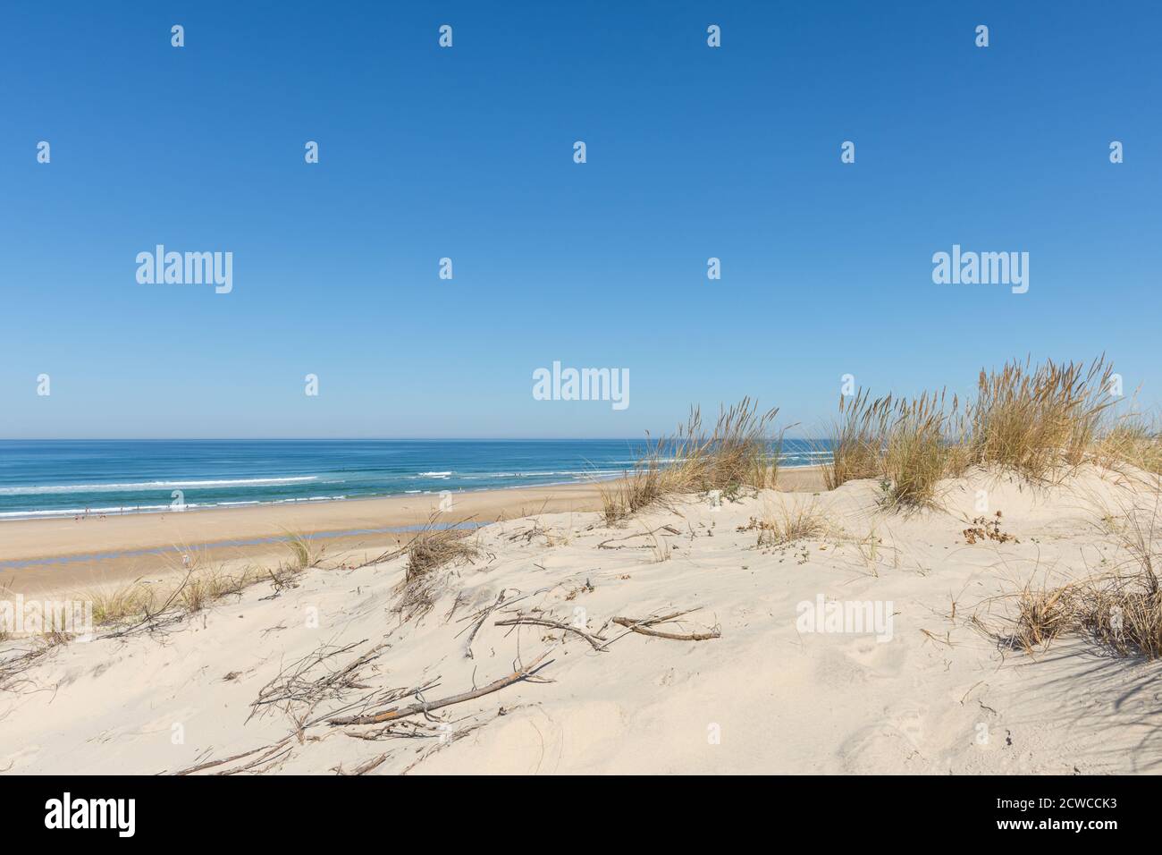 La plage de Biscarrosse dans le département des Landes, sur la côte atlantique française Banque D'Images