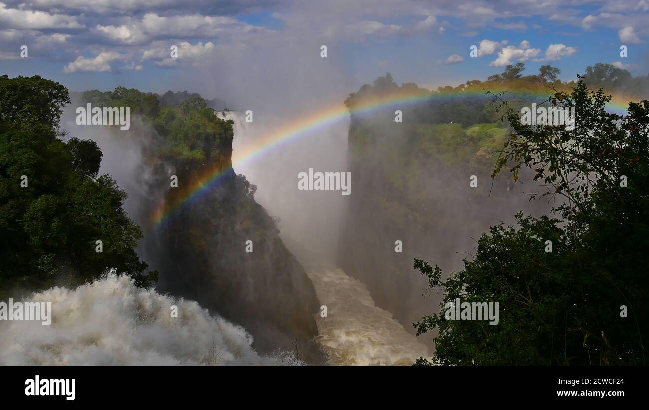 Vue imprenable sur les chutes Victoria (rivière Zambesi) canyon de la direction ouest avec un magnifique arc-en-ciel coloré et une forêt tropicale à la fin de la saison des pluies Banque D'Images