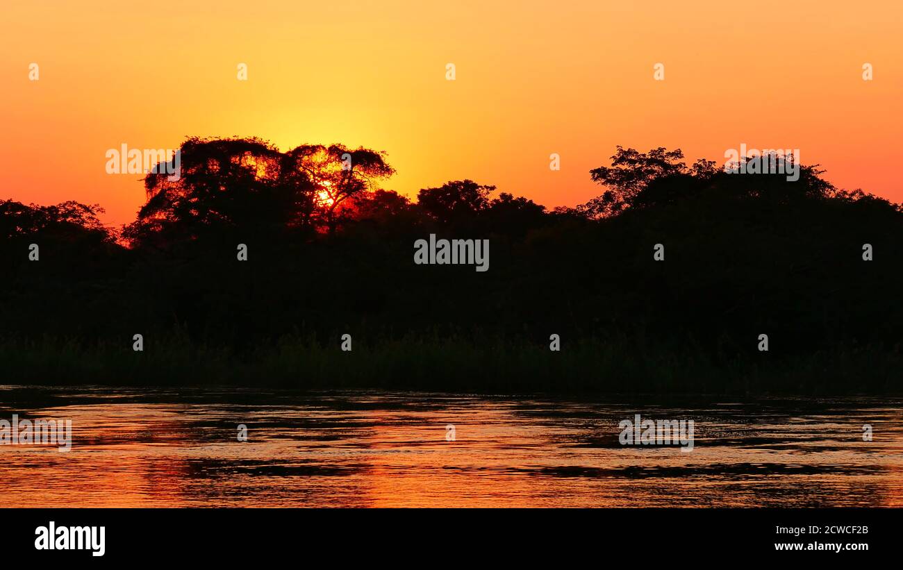 Magnifique coucher de soleil sur la paisible rivière Okavango avec le soleil du soir qui brille à travers les arbres près de Divundu dans le parc national de Bwabwata, Namibie, Afrique. Banque D'Images