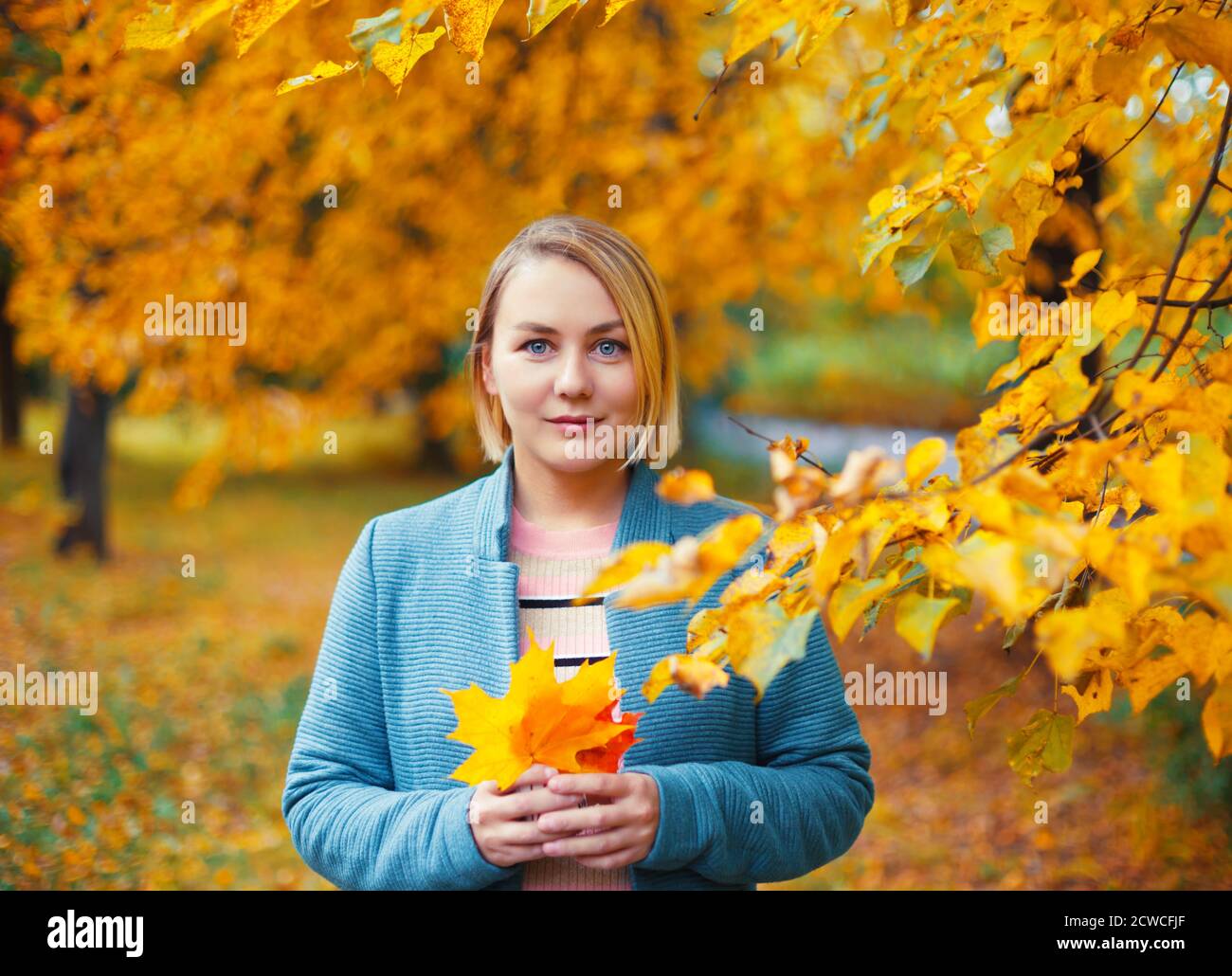 Belle femme blonde dans le parc d'automne tenant des feuilles d'érable dans ses mains. Portrait d'automne extérieur féminin. Banque D'Images