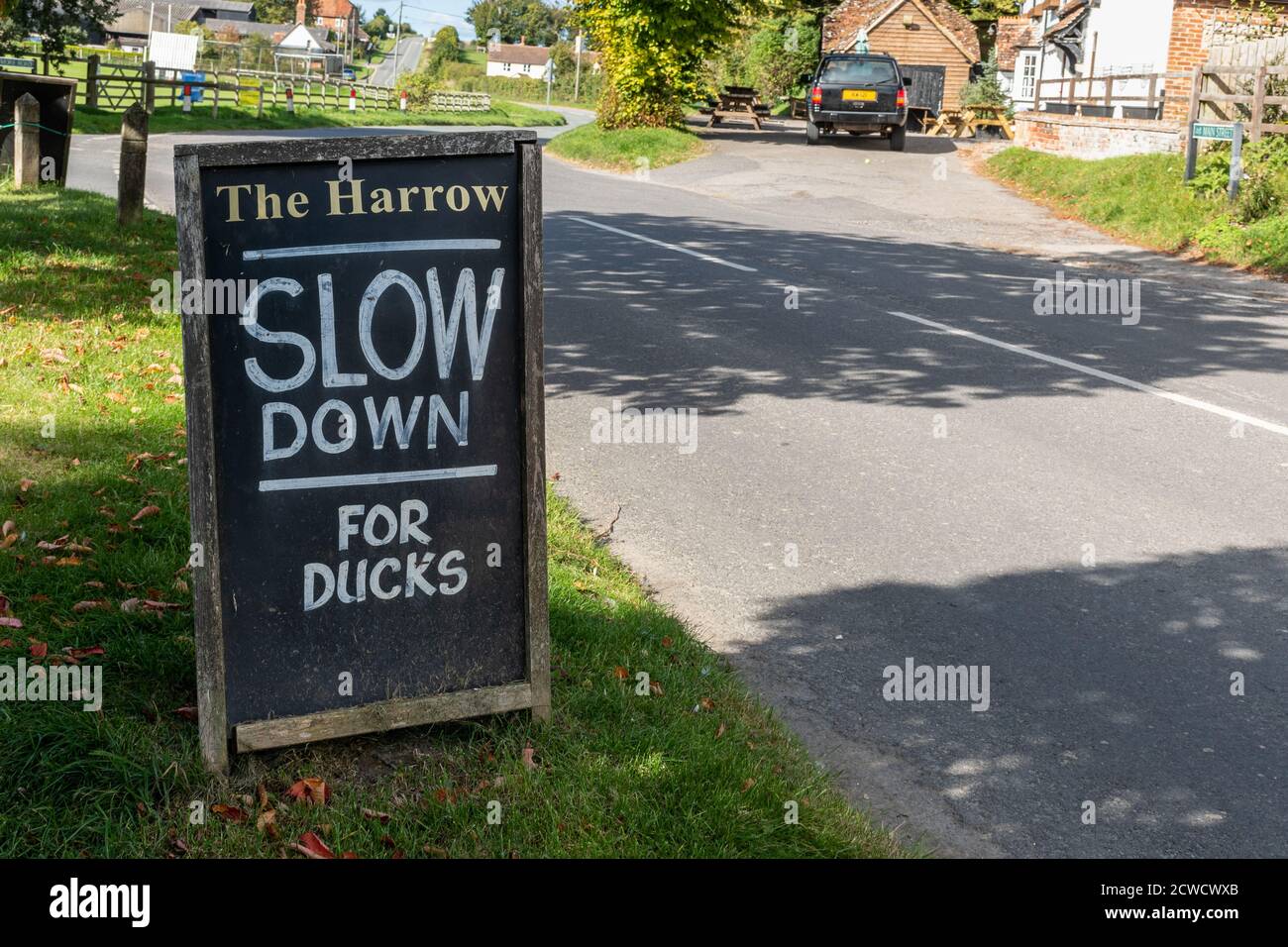 West Ilsley, Berkshire, Royaume-Uni - panneau près du Harrow Pub et de l'étang de canard demandant aux conducteurs de ralentir pour les canards Banque D'Images