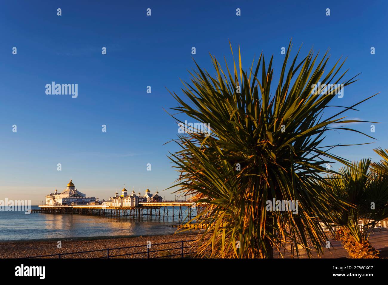 Angleterre, East Sussex, Eastbourne, Eastbourne Beach et Pier avec palmiers Banque D'Images