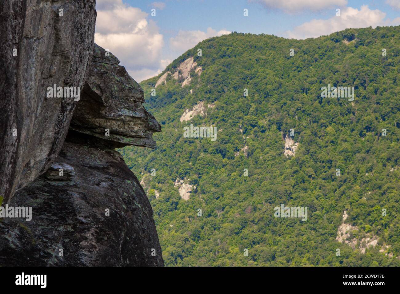 Devils Head rocher sur le bord d'une falaise abrupte au parc national de Chimney Rock dans les Appalaches de Caroline du Nord. Banque D'Images