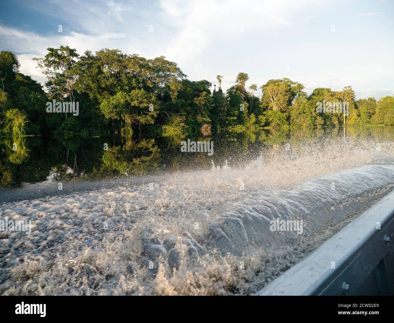 Une promenade en bateau le long de la rivière Pacaya, Réserve de Pacaya-Samiria, Iquitos, Pérou. Banque D'Images