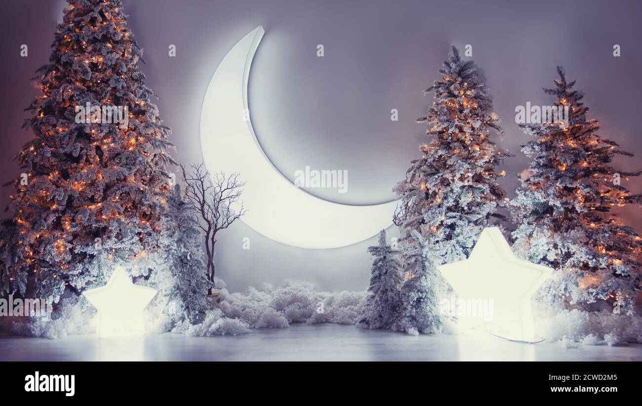Paysage Hiver Noel Banniere Paysage Magnifique Decore Arbre De Noel Avec Etoile Et Lune Avec Neige Photo Stock Alamy