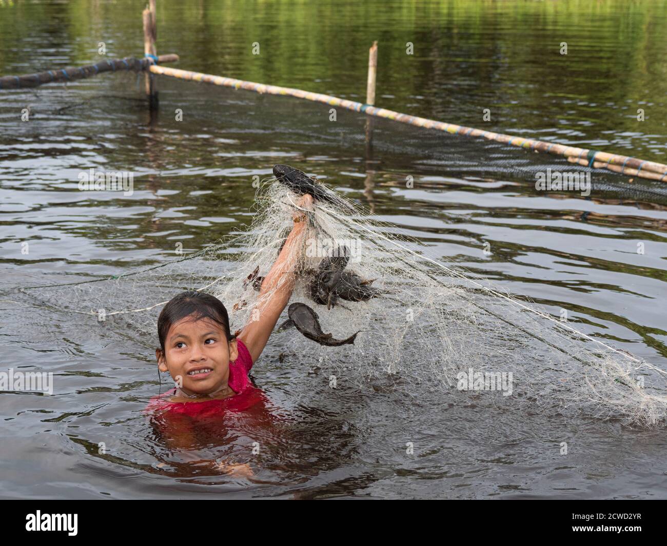 Une jeune fille qui récolte du poisson-chat de la famille des pêcheurs sur Río El Dorado, bassin de l'Amazone, Loreto, Pérou. Banque D'Images