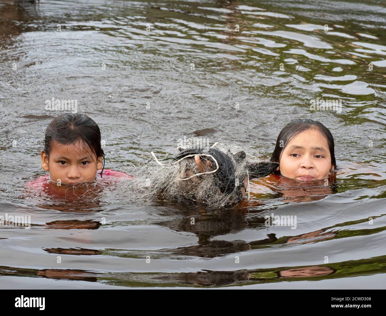 Jeunes filles qui rassemblent des poissons-chats de la famille des pêcheurs sur Río El Dorado, bassin de l'Amazone, Loreto, Pérou. Banque D'Images