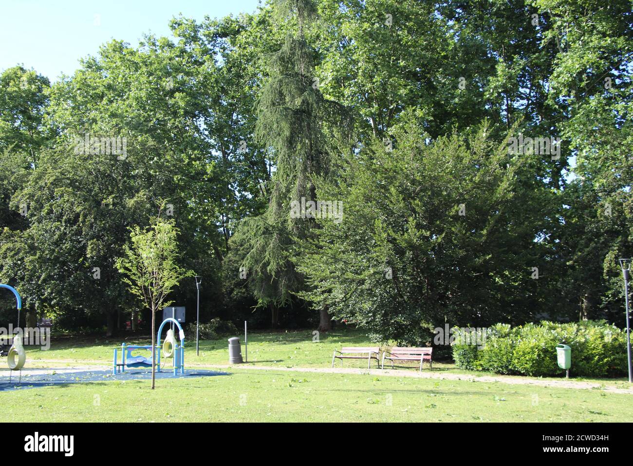 Magnifique parc de la ville avec promenade des bancs et de grands arbres verts. Parc de la ville en été. Endroit pour se promener. Banc vide dans le parc de la ville Banque D'Images