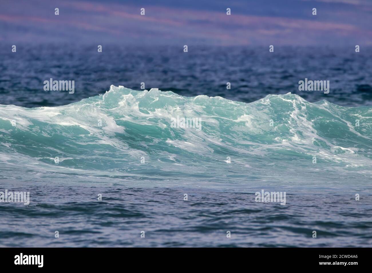 Magnifique vague d'aigue-marine sur maui. Banque D'Images