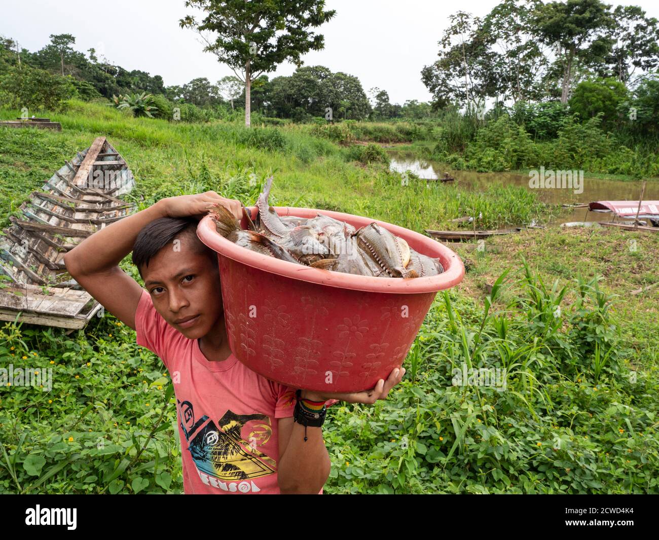 Un jeune garçon transportant les prises de jours dans le village de San Francisco, bassin de l'Amazone, Pérou. Banque D'Images