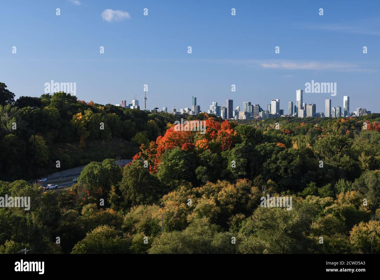 Toronto Skyline en automne Banque D'Images