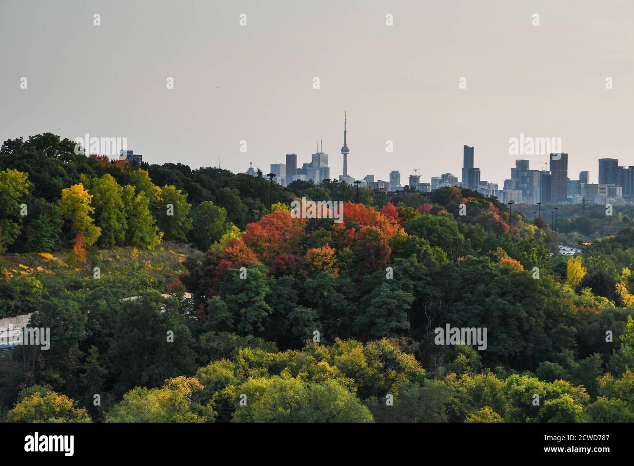 Toronto Skyline en automne Banque D'Images