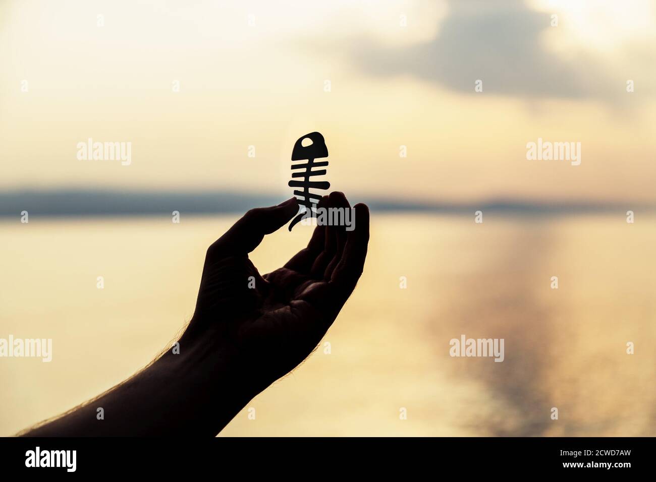 Une main mâle tient un auxiliaire de baguettes de poisson sur le fond de la mer. Coucher de soleil, silhouette. Copier l'espace Banque D'Images