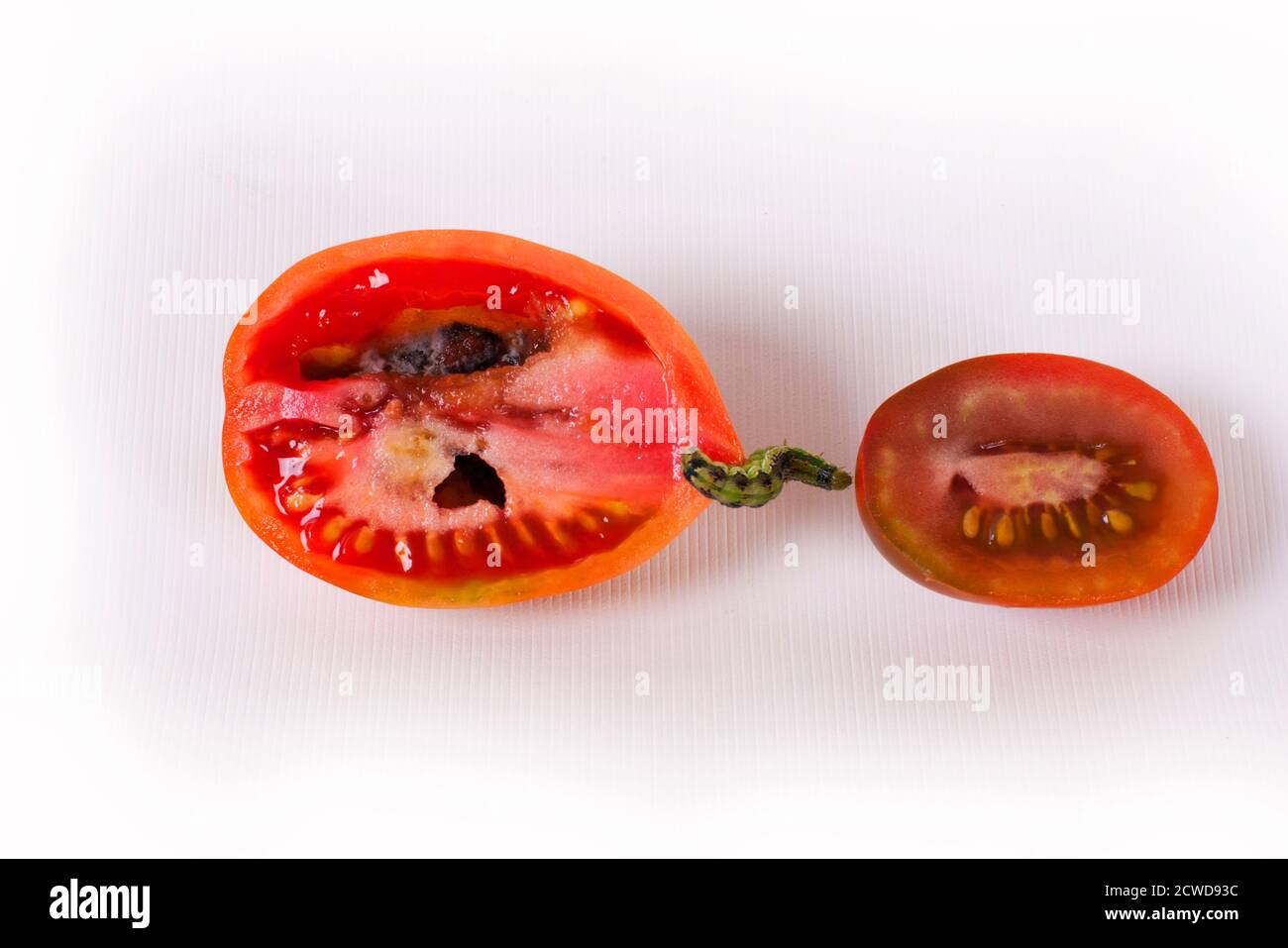 Ver Caterpillar mangeant une tomate Banque D'Images