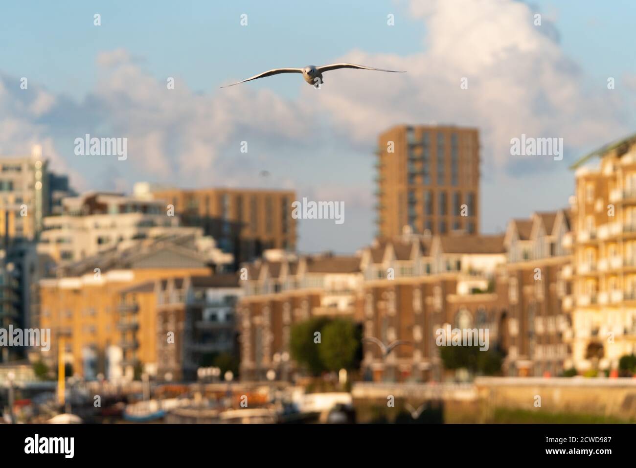 Battersea Reach, Wandsworth Riverside Banque D'Images