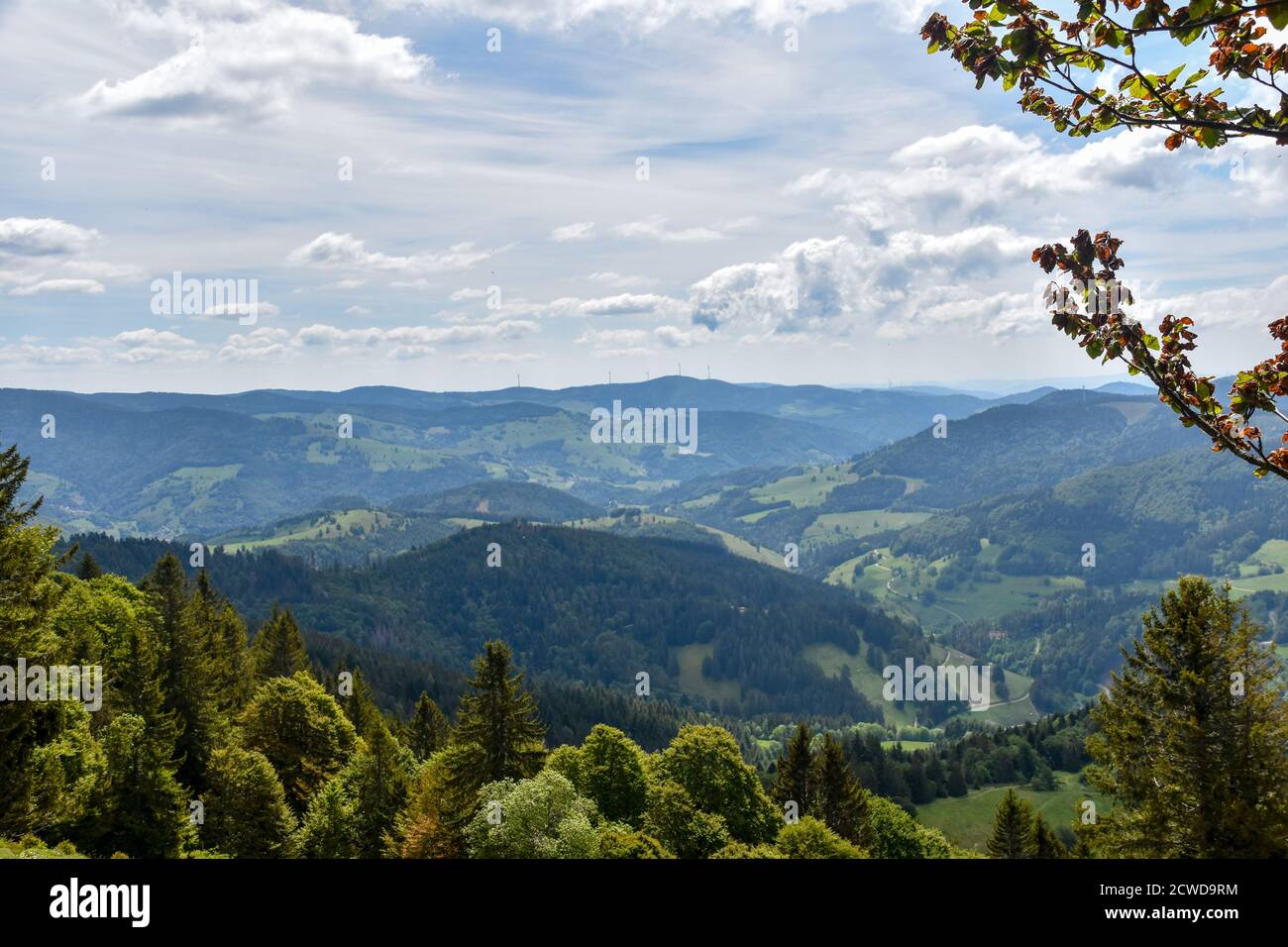 Paysage de la forêt noire de Belchen. Banque D'Images