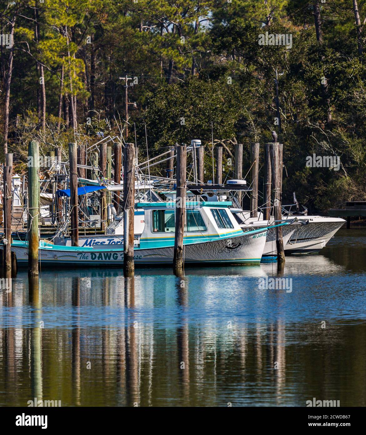 Bateaux privés et commerciaux dans le port intérieur d'Ocean Springs, Mississippi Banque D'Images