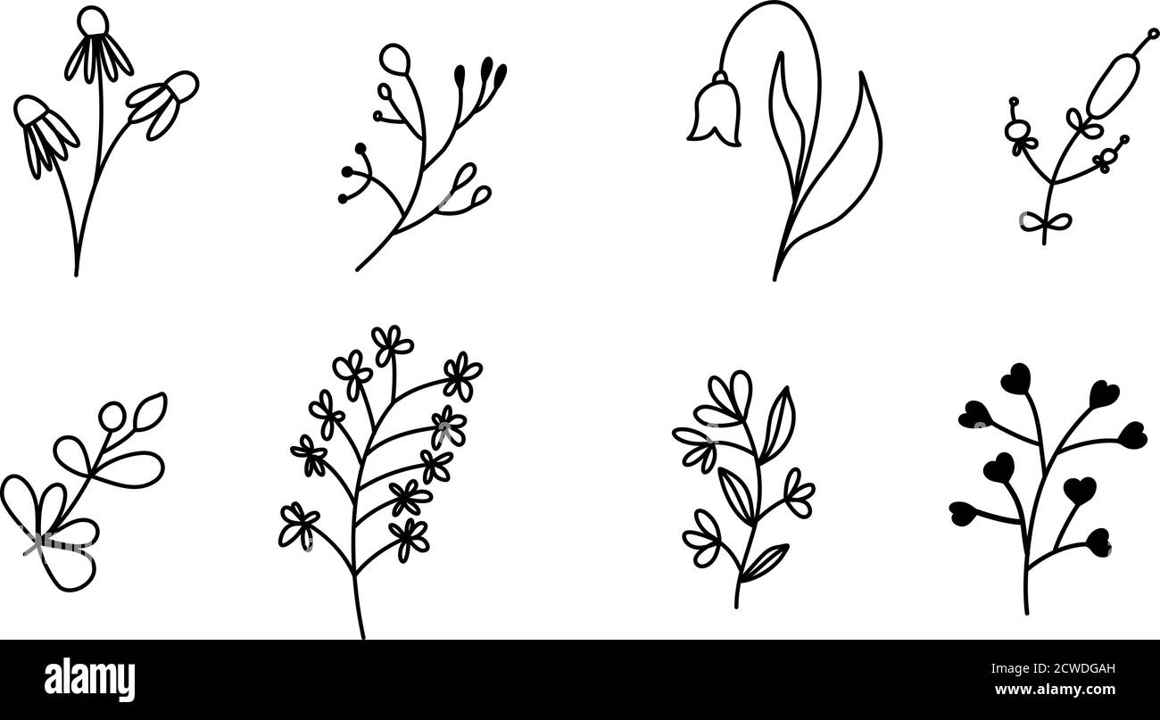 Ensemble d'esquisses vectorielles et logo de gribouillages à lignes. Éléments de conception dessinés à la main fleurs isolées, feuilles, herbes pour la décoration imprimés, étiquettes, motifs Illustration de Vecteur