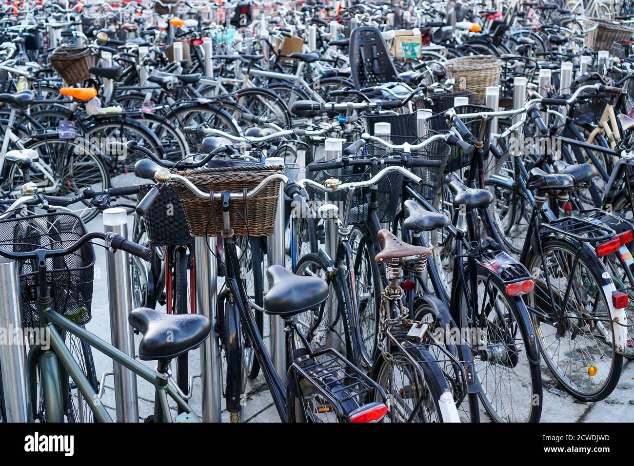 Des centaines de vélos garés en rangées Banque D'Images