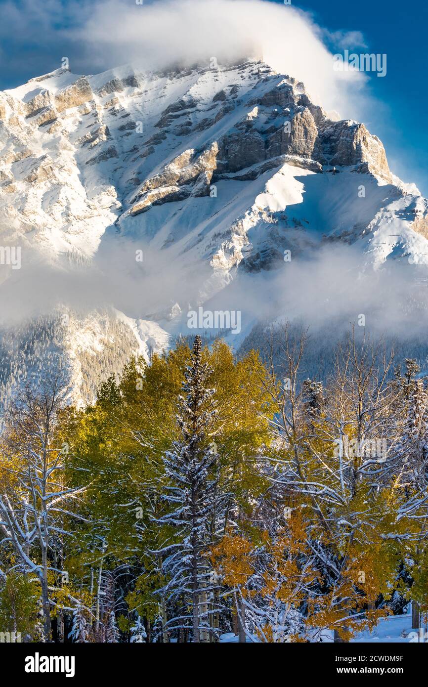 Couleurs d'automne et pic enneigé dans les Rocheuses canadiennes Banque D'Images