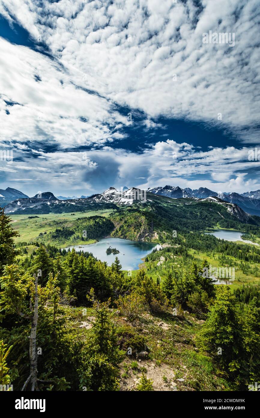 Sunshine Meadows, destination de randonnée et de tourisme préférée du parc national Banff. Banque D'Images