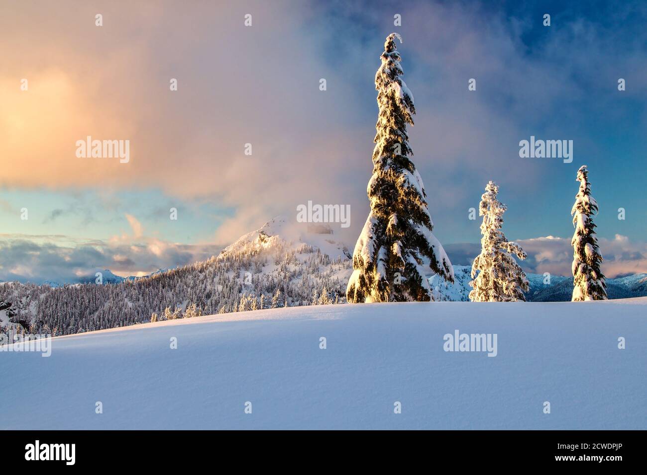 Vue d'hiver sur la montagne Crown enneigée au coucher du soleil à Vancouver, en Colombie-Britannique Banque D'Images