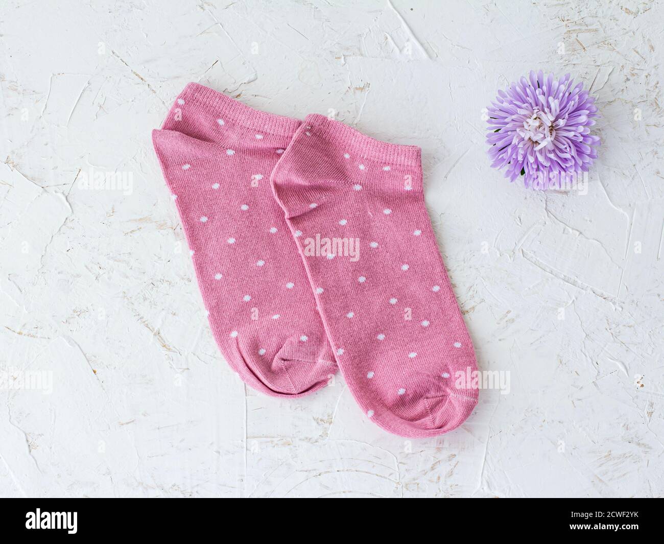 Paire de chaussettes pour femmes et fleur de chrysanthème sur fond blanc structuré, vue du dessus. Banque D'Images