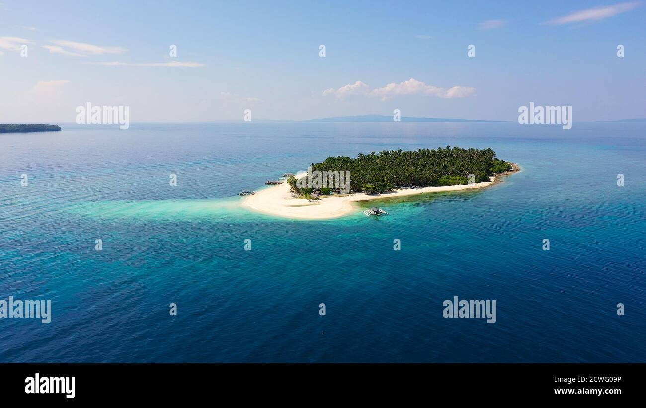 Île avec une plage tropicale et des lagons turquoise. Plage de sable blanc avec cococotiers, vue de dessus. Île De Digyo, Philippines. Vacances d'été et concept de plage tropicale. Banque D'Images