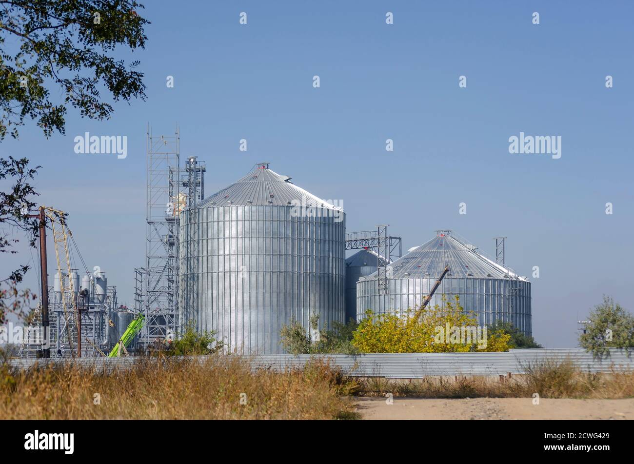 Construction d'un terminal de grain moderne sur fond bleu ciel. Silo cylindrique métallique et structure métallique de support pour le convoyeur de chargement. Distribution Banque D'Images