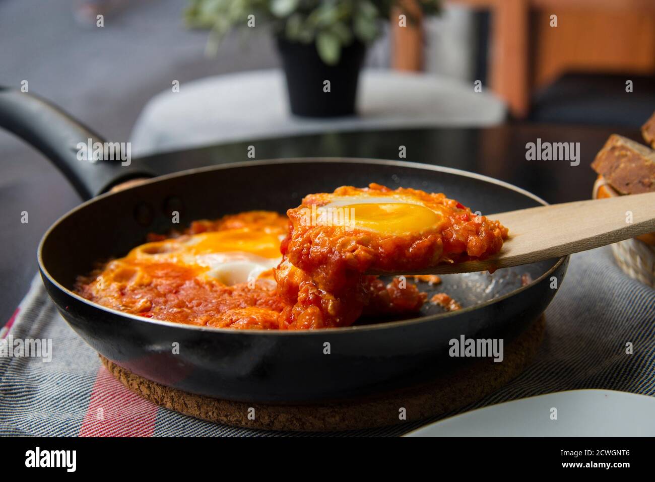 Shakshouka - oeufs dans une sauce tomate, servis dans une poêle Banque D'Images