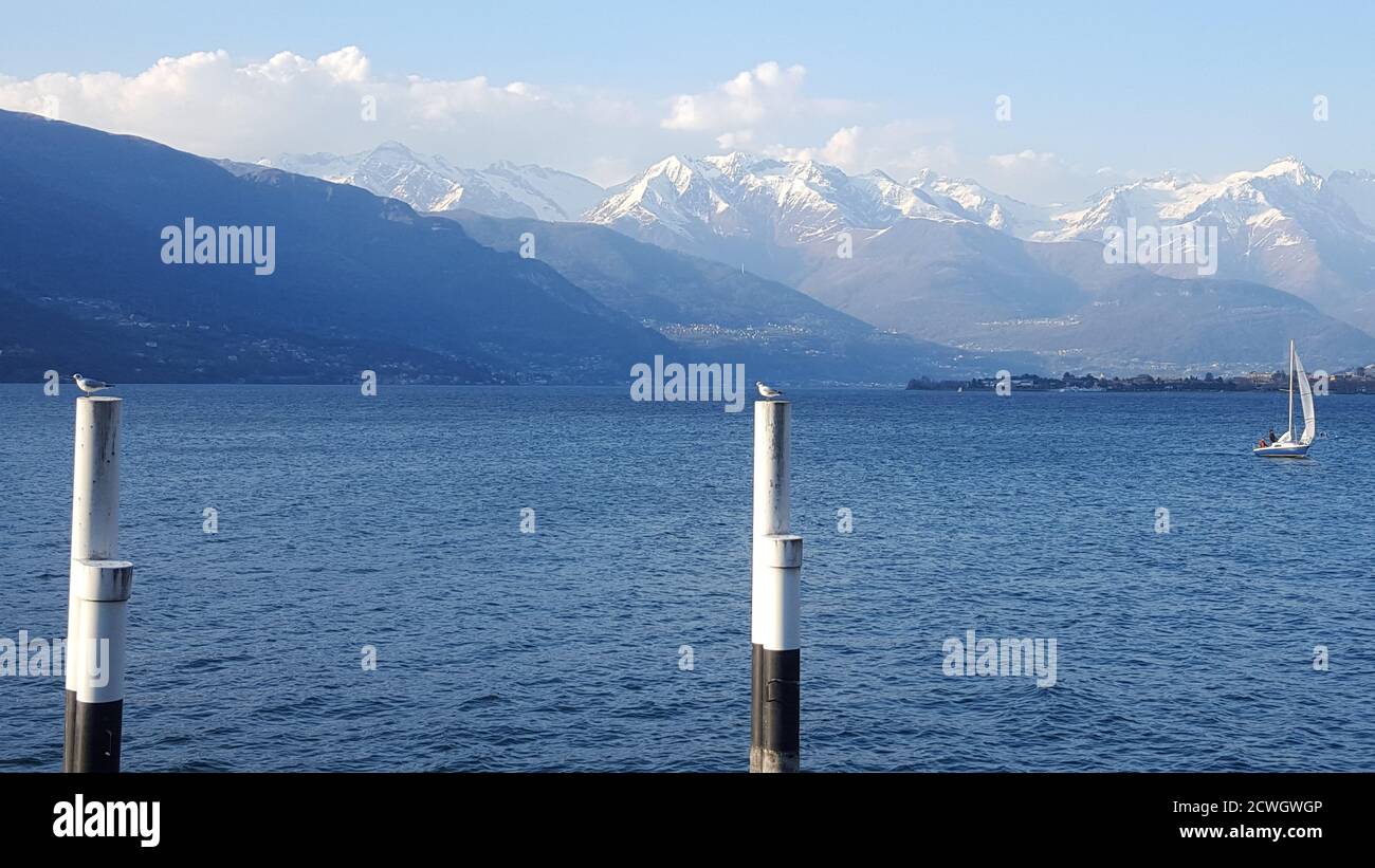 Vue panoramique d'hiver sur les montagnes du lac de Côme et un bateau voile sur l'eau du quai à Bellano et deux mouettes sur deux pôles au premier plan Banque D'Images