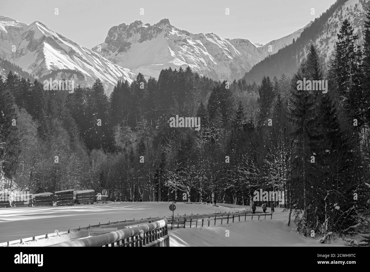 Trettachtal, Winterlandschaft; Fahrweg, Wald, Berge, schneebedeckt, Oberstdorf, Allgäuer Alpen Banque D'Images