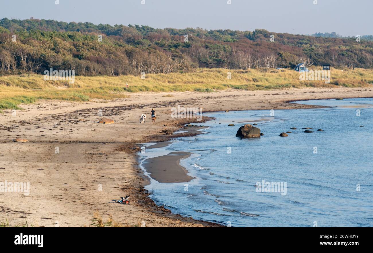 Scène de plage au début de l'automne dans le sud-ouest de la Suède Banque D'Images