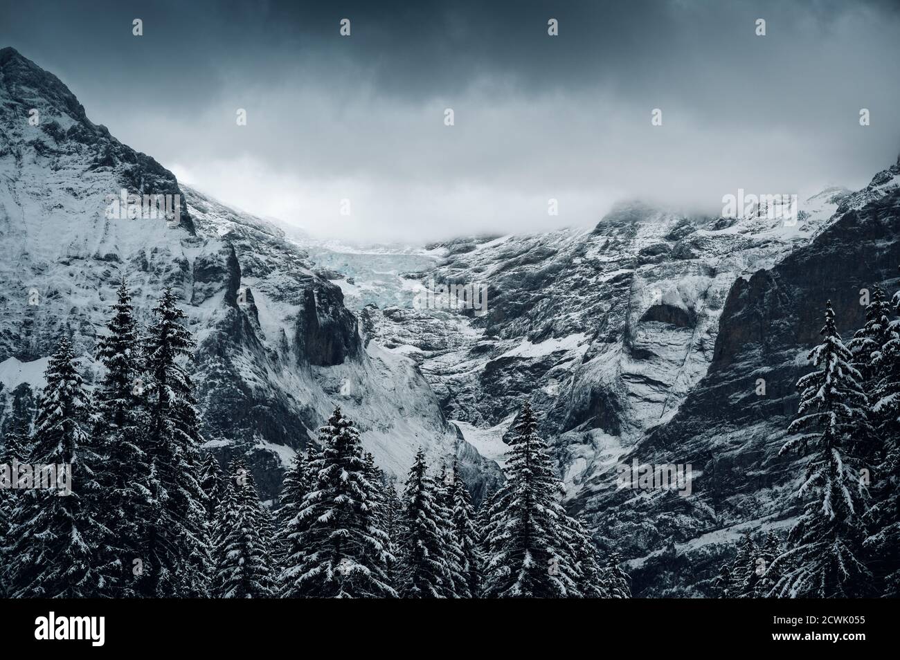 Forêt d'hiver avec des nuages sombres à Grindelwald avec Oberer Oberer Grindelwaldgletscher, Berner Oberland Banque D'Images