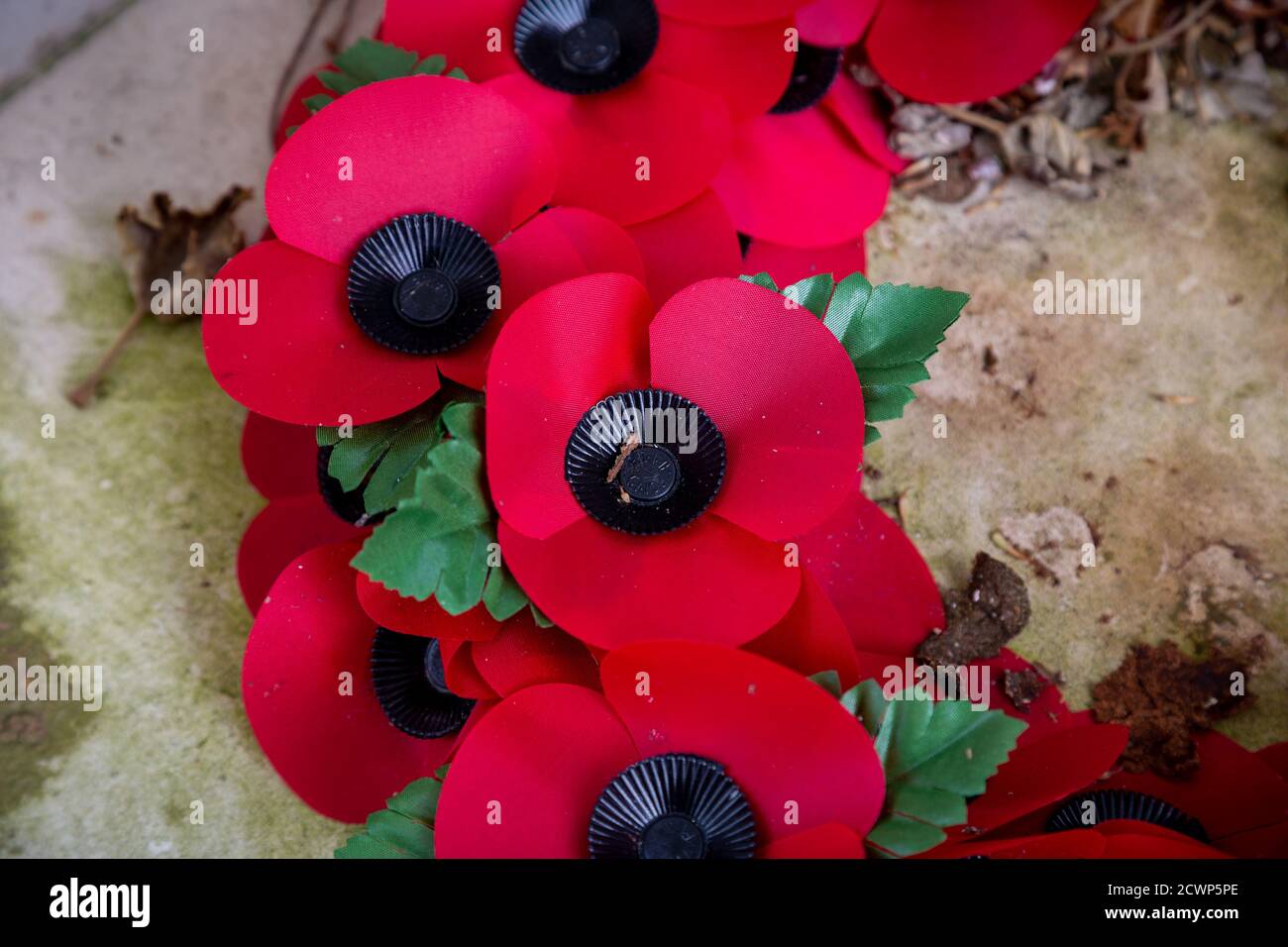 Gros plan sur une couronne de pavot rouge jour du souvenir Banque D'Images