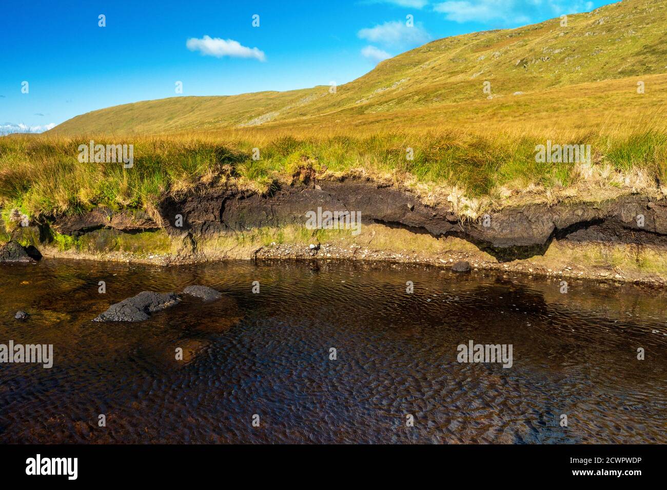 Tourbe érodée sur la rive de l'Afon Hengwm, dans les hautes terres des monts Cambriens, au pays de Galles Banque D'Images