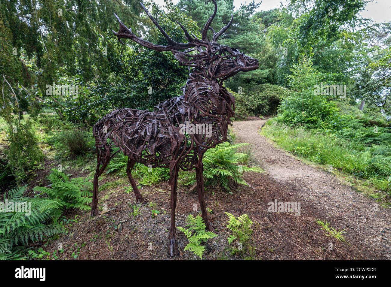 Statue d'une stag grandeur nature, créée par l'artiste Sally Matthews, sur le terrain du château de Brodick, du jardin et du parc régional de l'île d'Arran, en Écosse. Banque D'Images